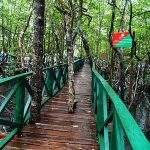 ANDAMAN ISLANDS TOUR PACKAGE FROM HYDERABAD-1