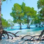 ANDAMAN ISLANDS TOUR PACKAGE FROM KOCHI-5 ANDAMAN ISLANDS TOUR PACKAGE FROM KOCHI