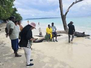 andaman tour pacakage from hyderabad andaman tour pacakage from hyderabad
