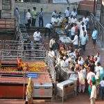 Sanishignatpur- chennai to shirdi tour package Sanishignatpur-chennai-to-shirdi-tour-package
